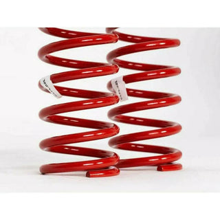 Race Coil Over Springs (Pair)